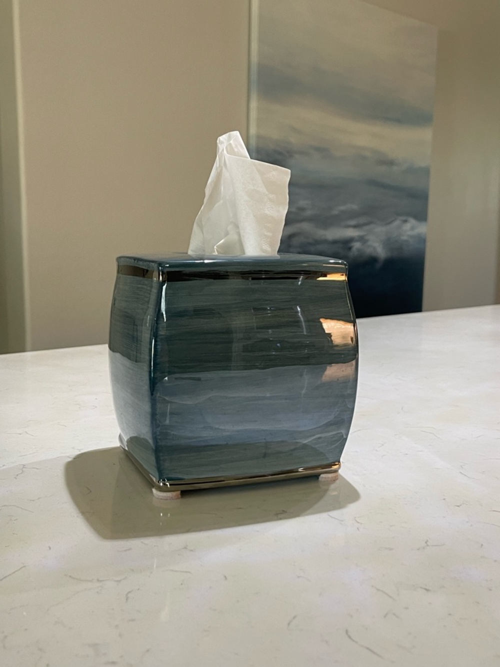 Nicole Miller New York Oasis Ceramic Tissue Box Cover - Like New - Picture 6 of 9